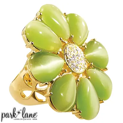 Park Lane shops Palm Beach Necklace