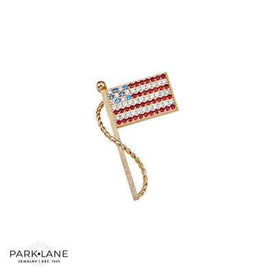 YOU ARE NOW QUALIFIED FOR DEAL OF THE DAY - AMERICAN FLAG PIN