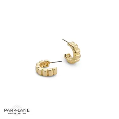 YOU ARE NOW QUALIFIED FOR STEAL OF THE DAY - BARE EARRINGS